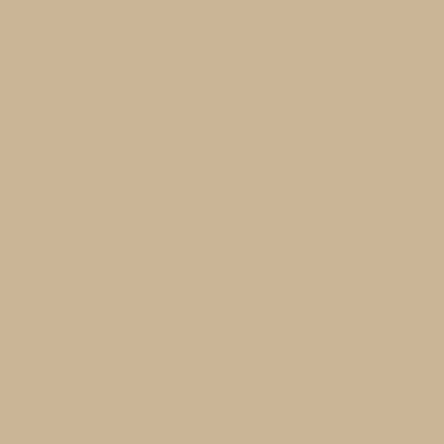 Confetti Cotton Solids — Palomino — by Riley Blake Designs