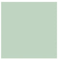 Confetti Cotton Solids — Sage — by Riley Blake Designs