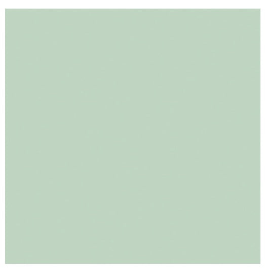 Confetti Cotton Solids — Sage — by Riley Blake Designs
