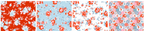Poppie Cotton — Elise — Fat Quarter Bundle — 16 pcs — by Terri Henson