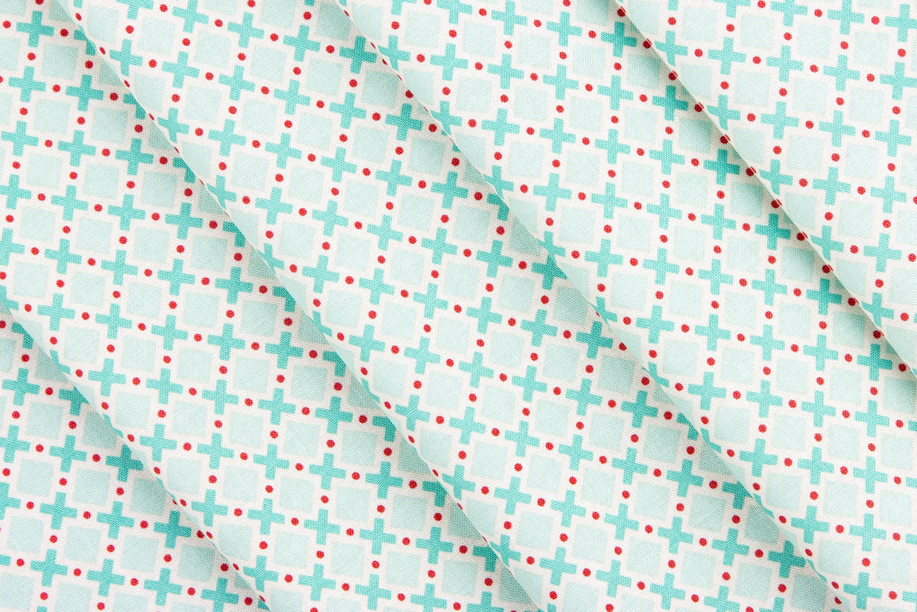 Lori Holt Berry & Sage Fat Quarter Bundle  21 Fat Quarters  Riley Blake Designs