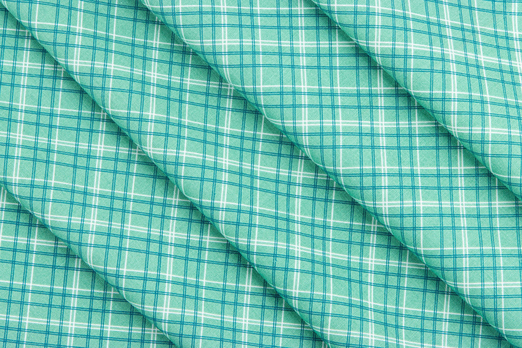 Lori Holt Berry & Sage Fat Quarter Bundle  21 Fat Quarters  Riley Blake Designs