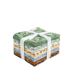 Faraway Kingdom Fat Quarter Bundle  Riley Blake Designs Quilting Cotton