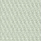 Little Lambies Woolies Flannel Poodle Boucle  Sage | Bonnie Sullivan for Maywood Studio