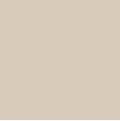 AGF Pure Solids  Sandstone Art Gallery Fabrics Quilting Cotton