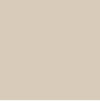 AGF Pure Solids  Sandstone Art Gallery Fabrics Quilting Cotton