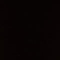 Black Magic  Maywood Studio  DoubleDyed JetBlack 60×60 Cotton Quilting Fabric by the Yard