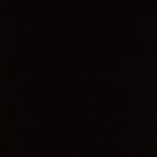 Black Magic  Maywood Studio  DoubleDyed JetBlack 60×60 Cotton Quilting Fabric by the Yard