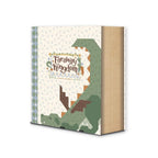 Faraway Kingdom Dragon Dreams Quilt Kit  Riley Blake Designs  Apples & Beavers Pattern  KT17430