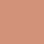 Fabric Poppy Seed Terracotta Tilda Basics Quilting Cotton TIL130171 Continuous Yardage Coordinates with Flannel Fast Shipping